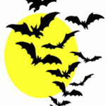 Bats Bats