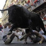 Bulls