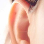 Ears