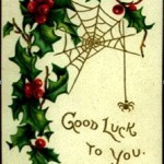 Spiders