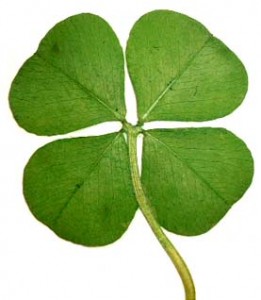 Four-leafed clover